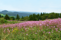 Rh&ouml;n &amp; Relax (75 &times; 50 cm) (19)